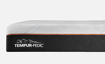 Tempur-Pedic Pro Adapt Tempur-Pedic Pro Adapt