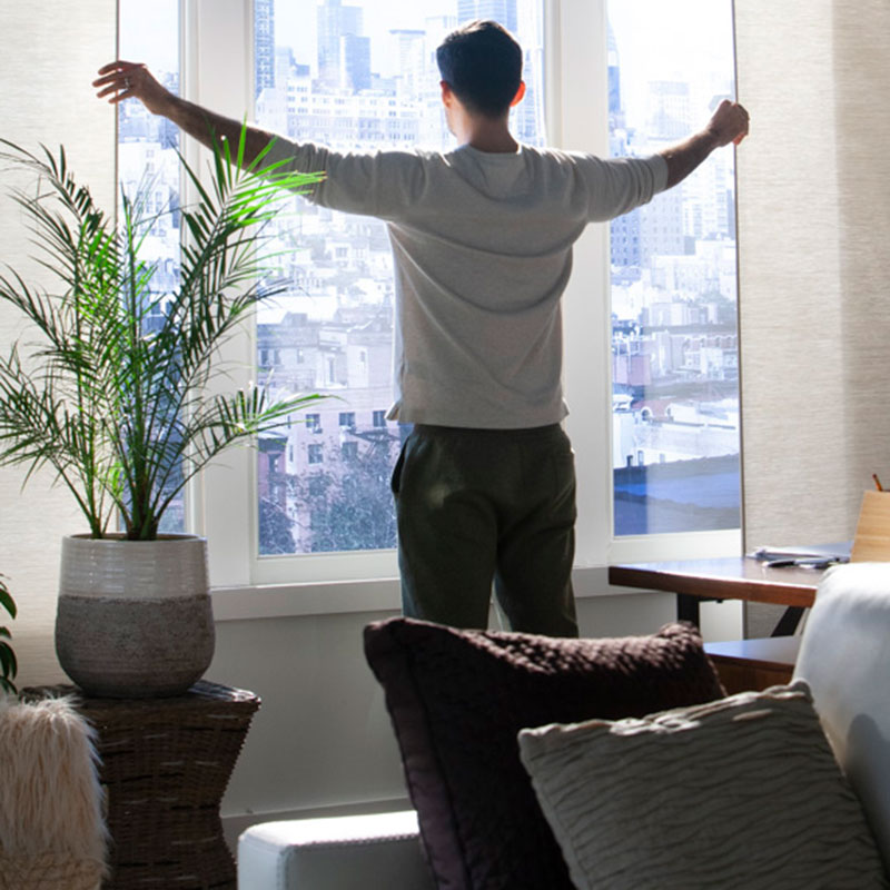 Focus on Your Windows