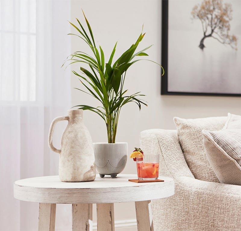 A fresh and festive space