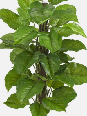 LARGE LEAF PHILODENDRON SILK PLANT