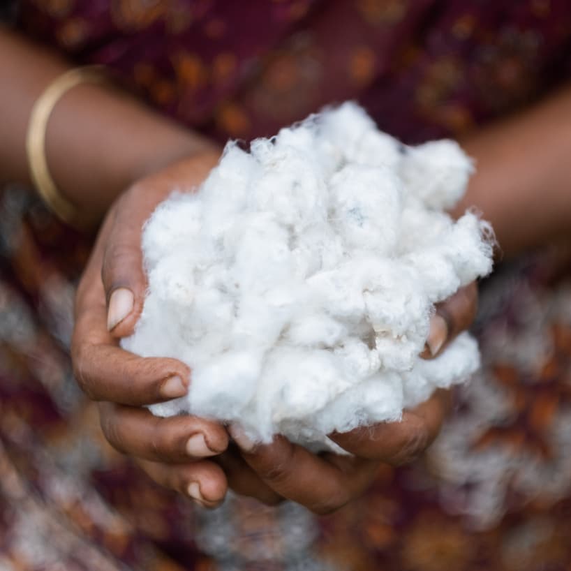 Two human hands holding a bundle of cotton