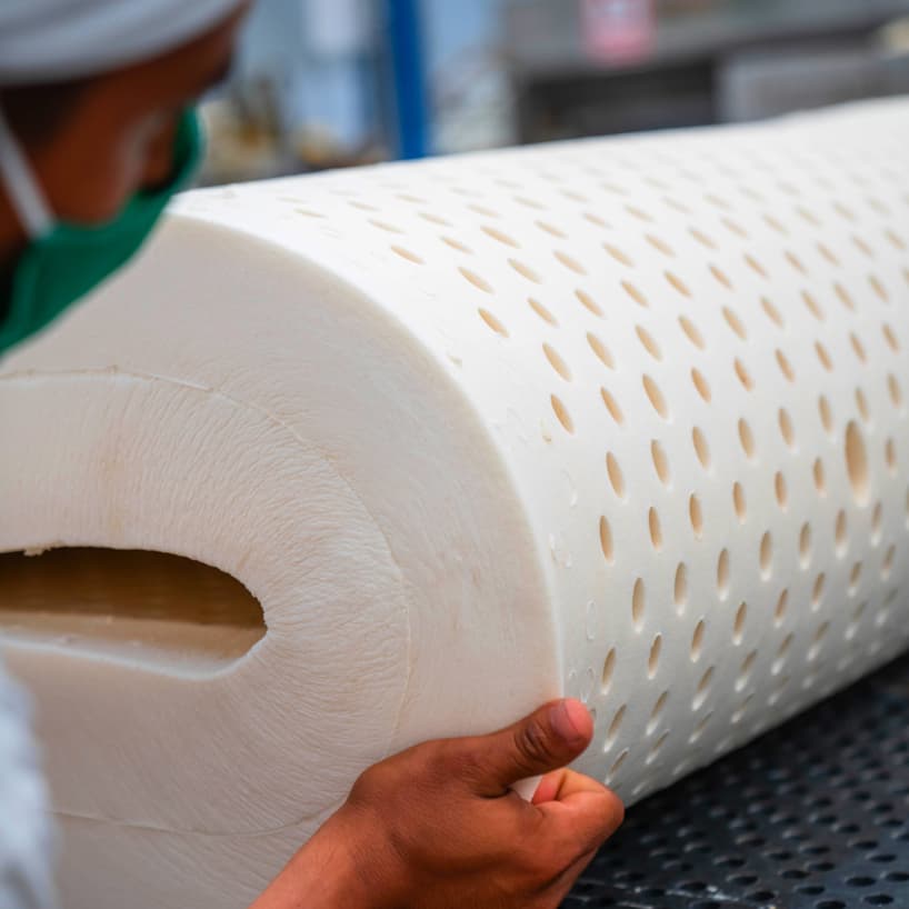 Roll of organic dunlop latex with a human hand holding the bottom corner