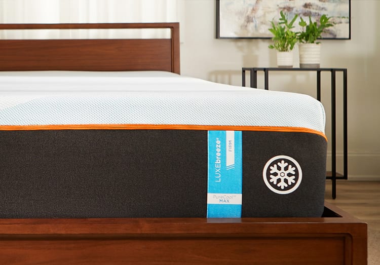 Mattress & Bedding