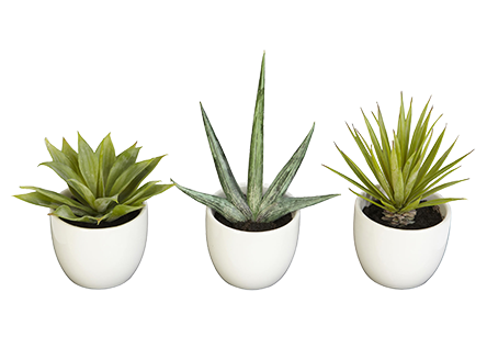 Bathroom Décor & Accessories Bathroom Décor & Accessories