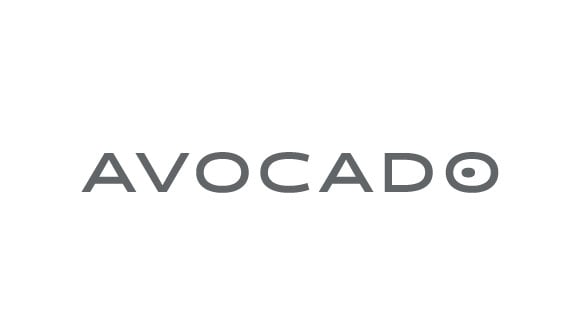 Avocado Icon - Gray