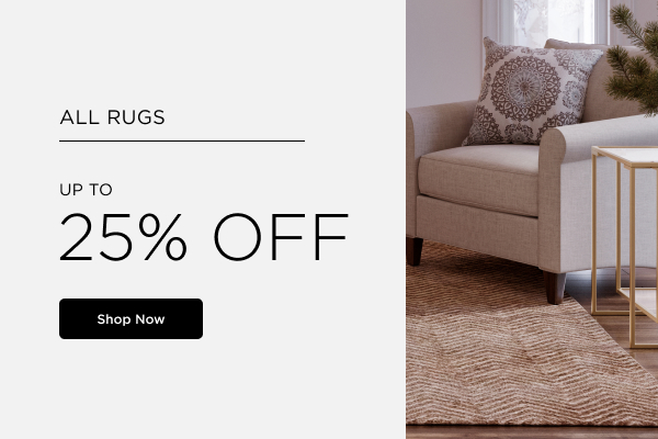 111522_112322_2Up_Rugs_Desktop.jpg